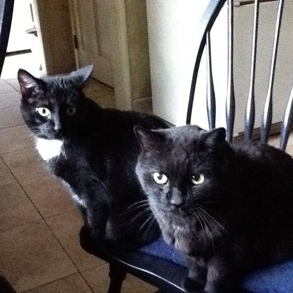 Meet your Posher, Wendy